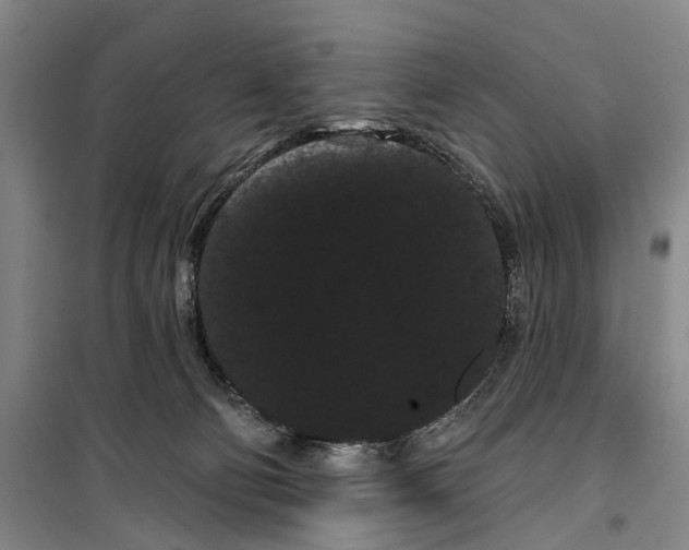 X0000099380130200806051130