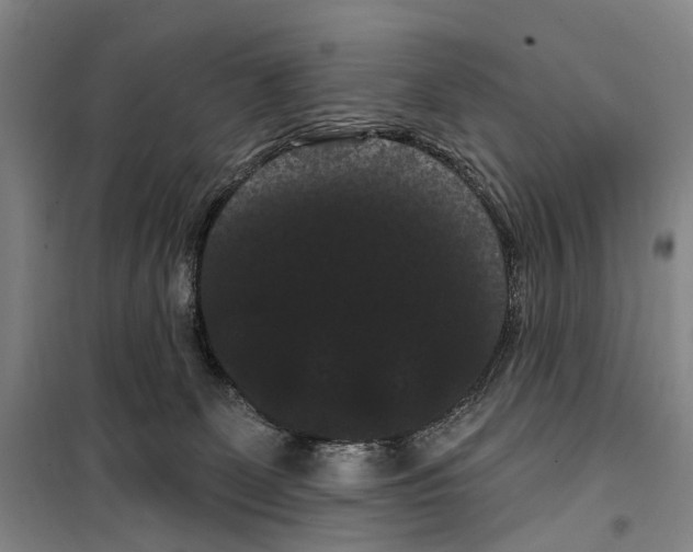 X0000099380131200806051130