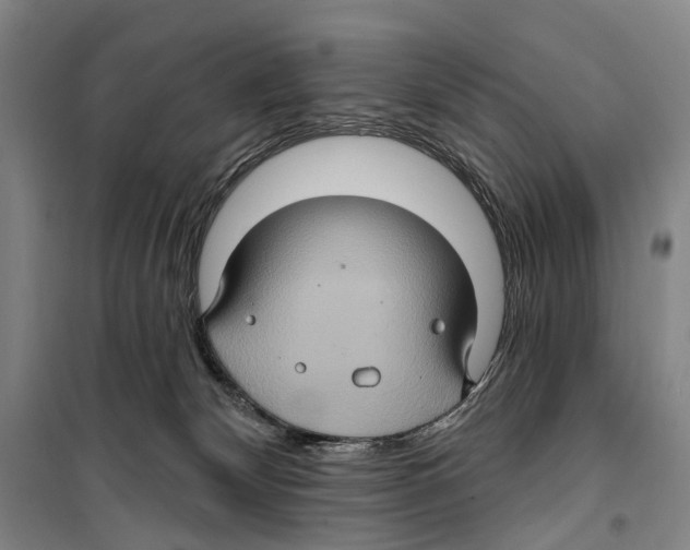 X0000099380132200806051130