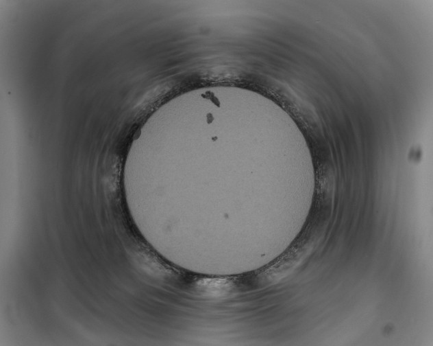 X0000099380133200806051130
