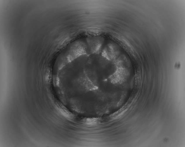 X0000099380134200806051130