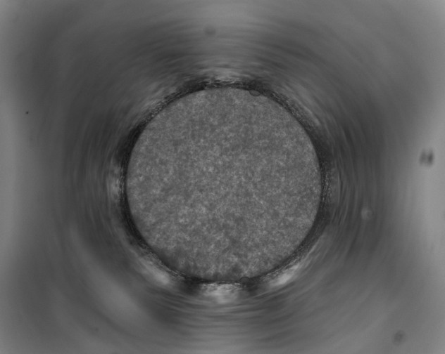 X0000099380135200806051129