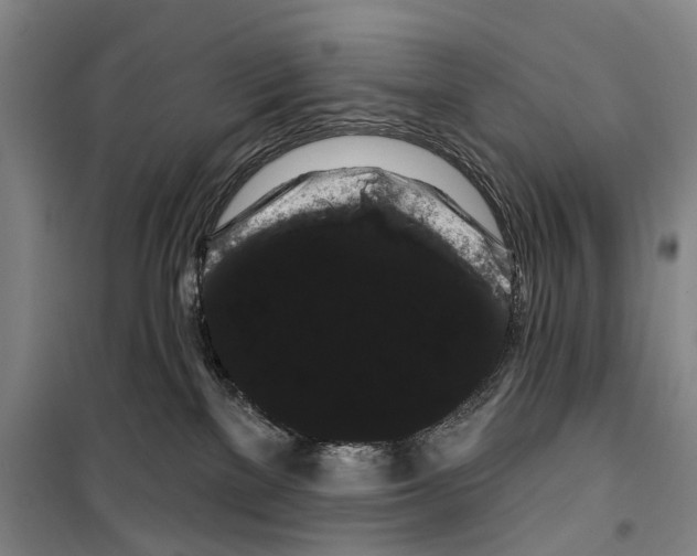 X0000099380137200806051129