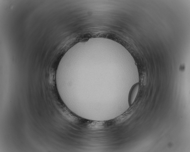 X0000099380138200806051129
