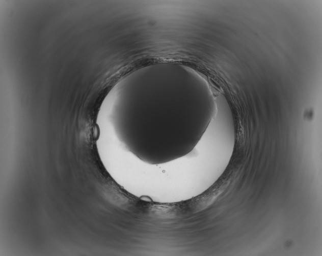 X0000099380139200806051129