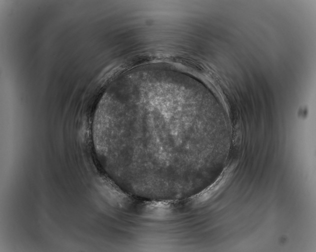X0000099380140200806051129
