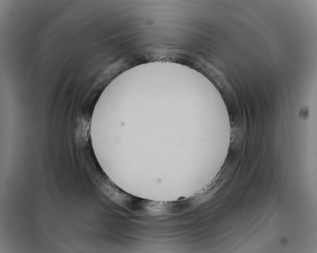 X0000099380142200806051129