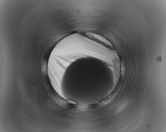 X0000099380143200806051129