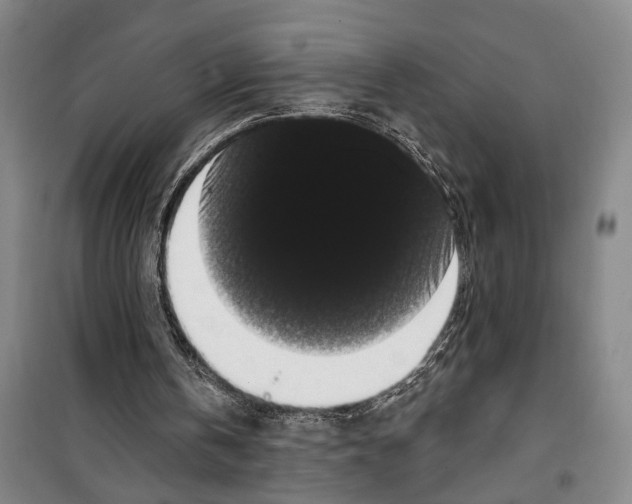 X0000099380146200806051129