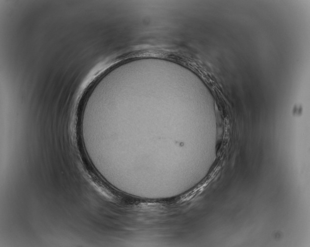 X0000099380150200806051129
