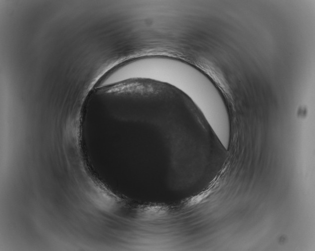 X0000099380156200806051129