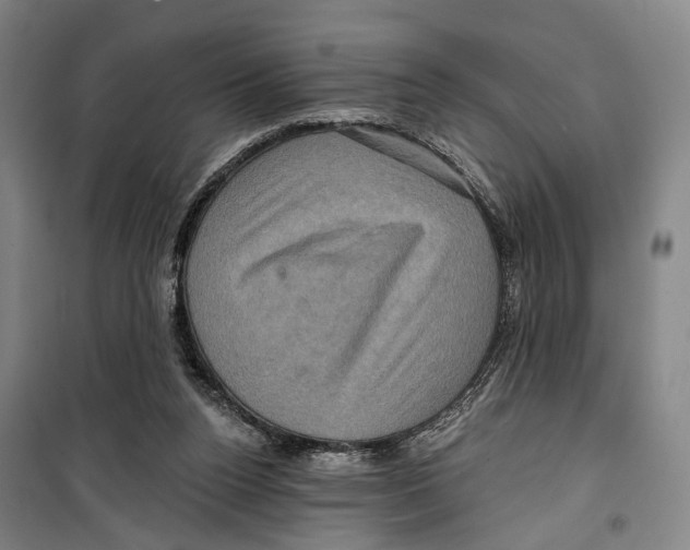 X0000099380160200806051129