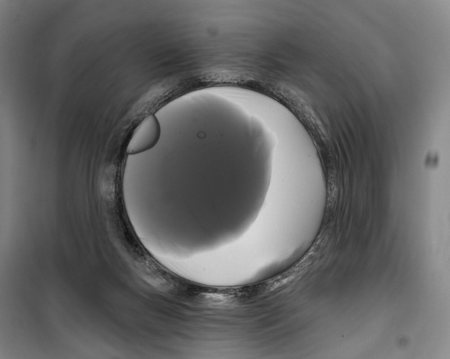 X0000099380167200806051129