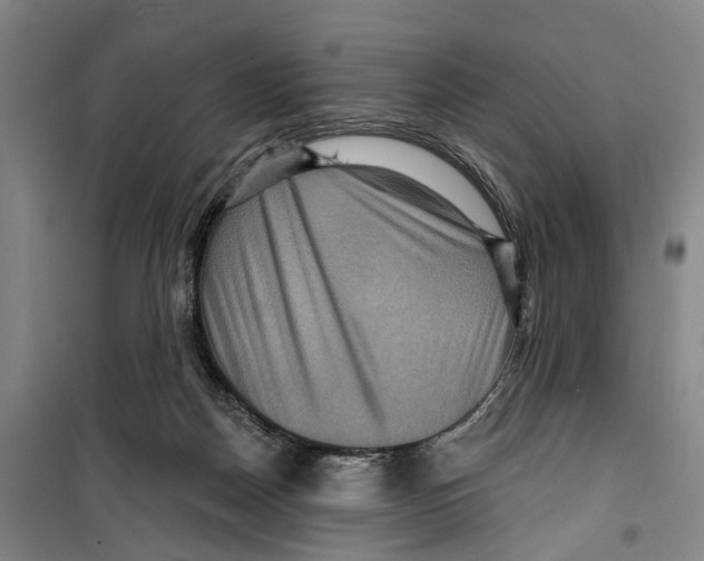 X0000099380170200806051129