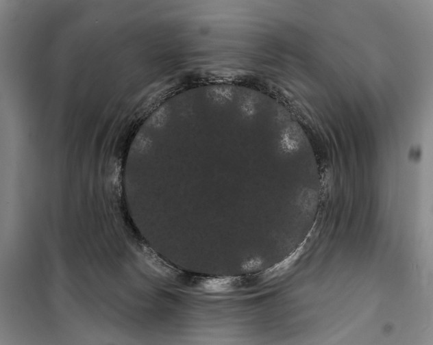 X0000099380178200806051129