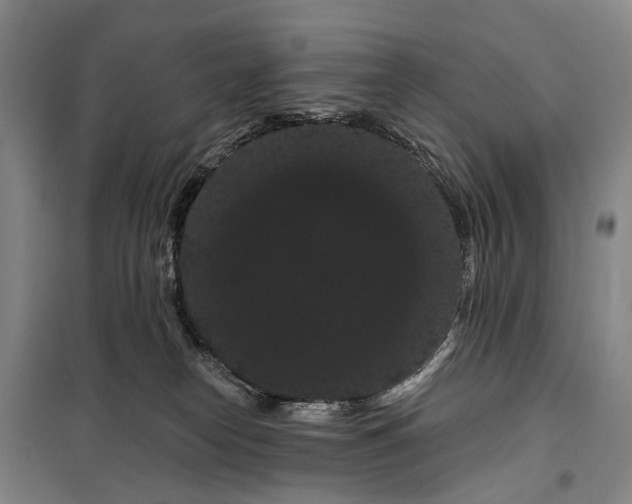 X0000099380182200806051129