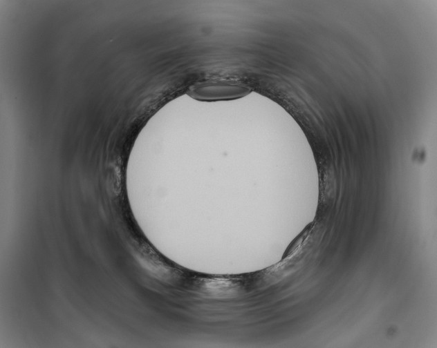 X0000099380183200806051129