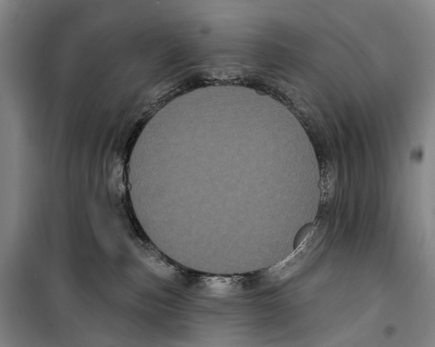 X0000099380187200806051129