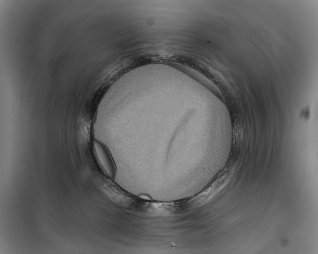 X0000099380188200806051129