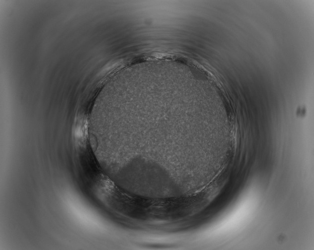 X0000099380191200806051129