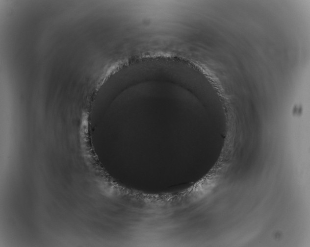 X0000099380192200806051129