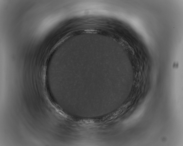 X0000099380194200806051129