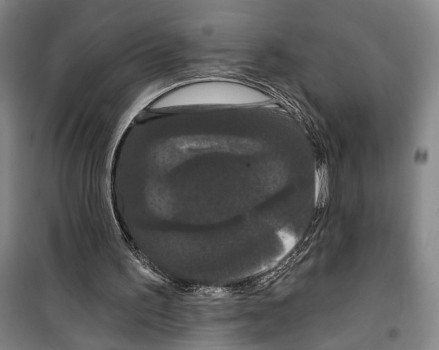 X0000099380195200806051129