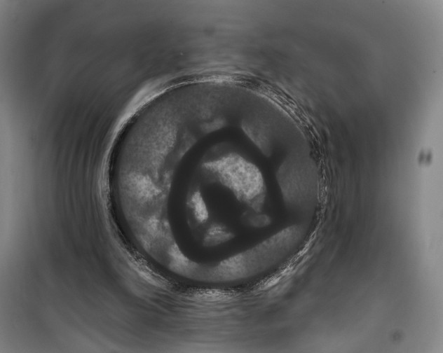 X0000099380198200806051129
