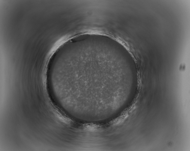 X0000099380199200806051129