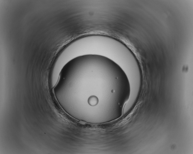 X0000099380201200806051129