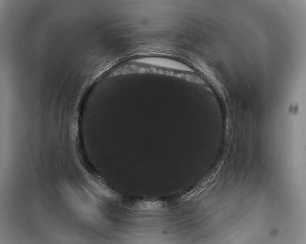 X0000099380202200806051129