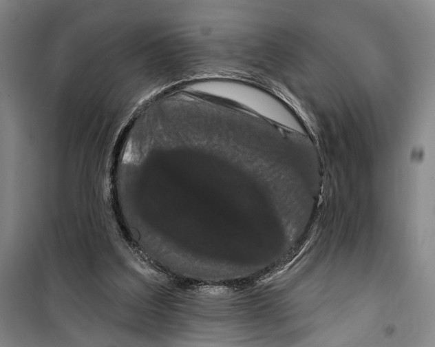 X0000099380203200806051129