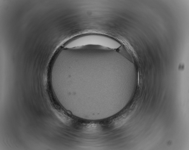X0000099380204200806051129