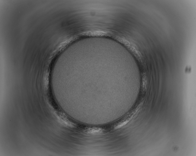 X0000099380206200806051129