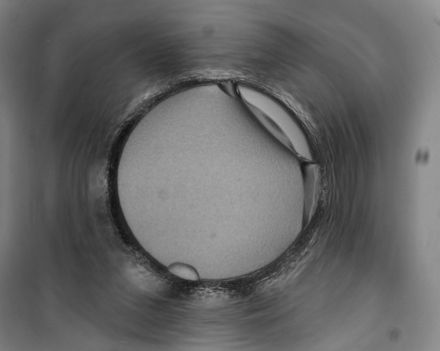 X0000099380207200806051129