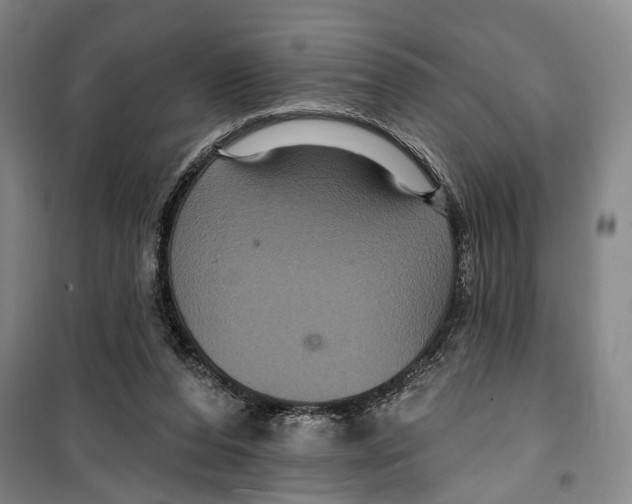 X0000099380208200806051128
