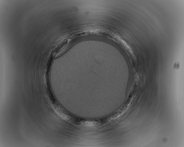 X0000099380209200806051128