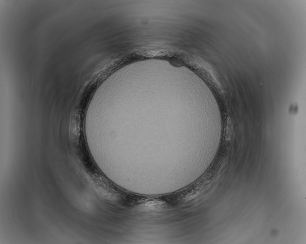 X0000099380210200806051128
