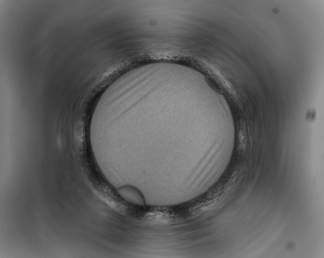 X0000099380211200806051128