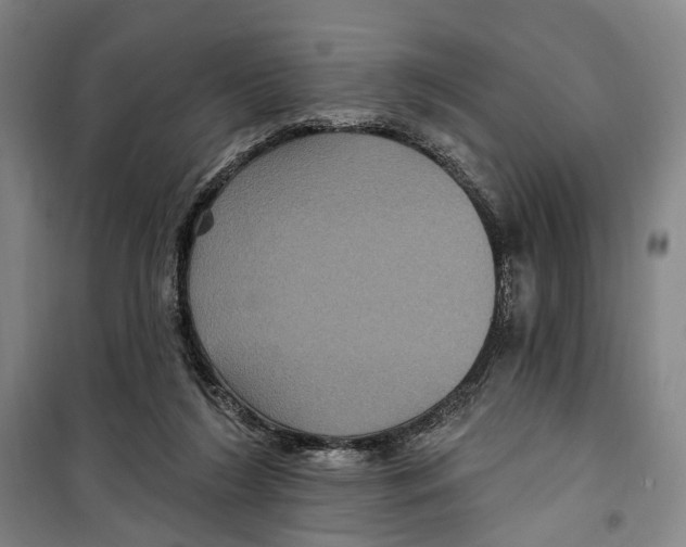X0000099380212200806051128