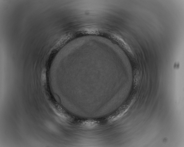 X0000099380213200806051128