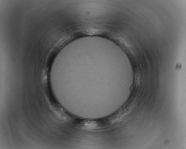 X0000099380214200806051128