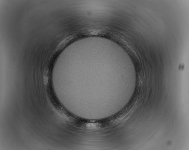 X0000099380216200806051128
