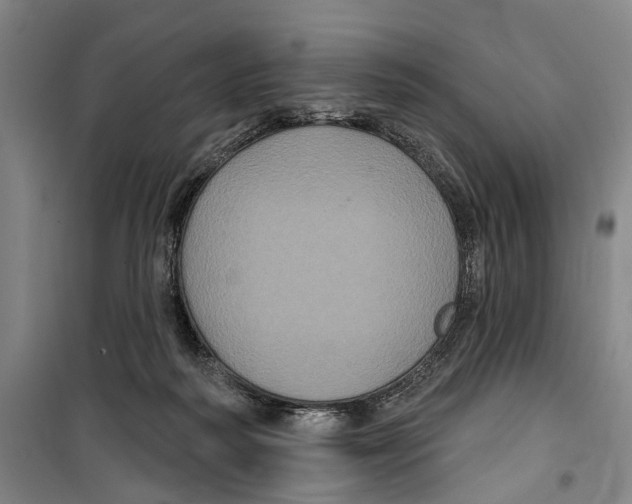 X0000099380218200806051128