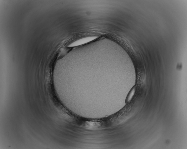 X0000099380220200806051128