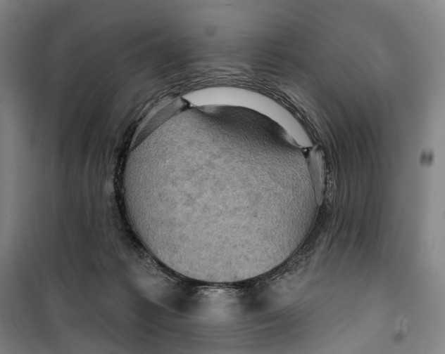 X0000099380221200806051128