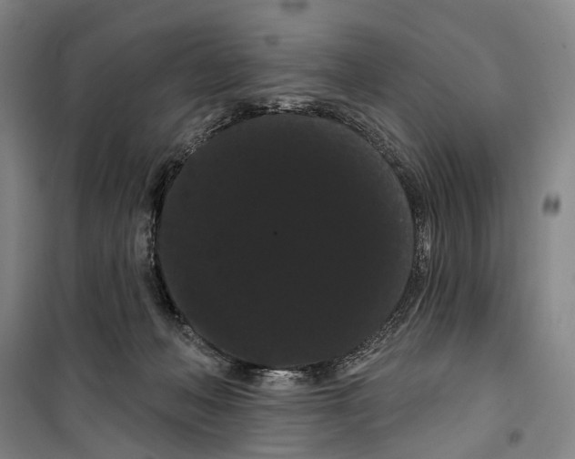 X0000099380222200806051128