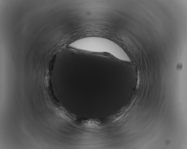 X0000099380223200806051128