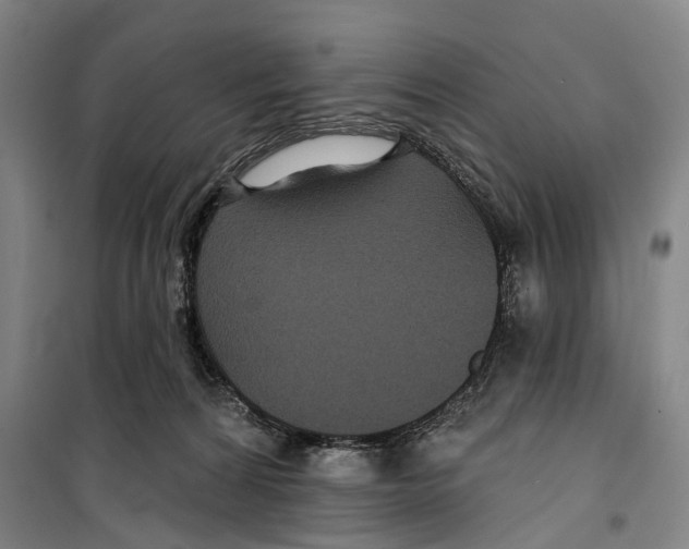 X0000099380224200806051128