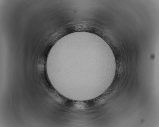 X0000099380226200806051128